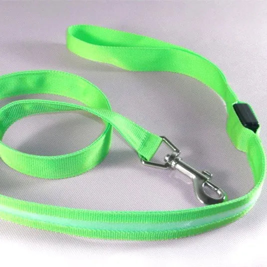 Light-emitting leash for pets