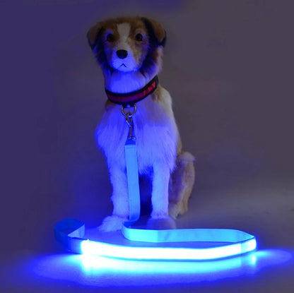 Light-emitting leash for pets