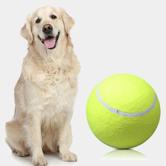 Tennis Ball For pet Chew